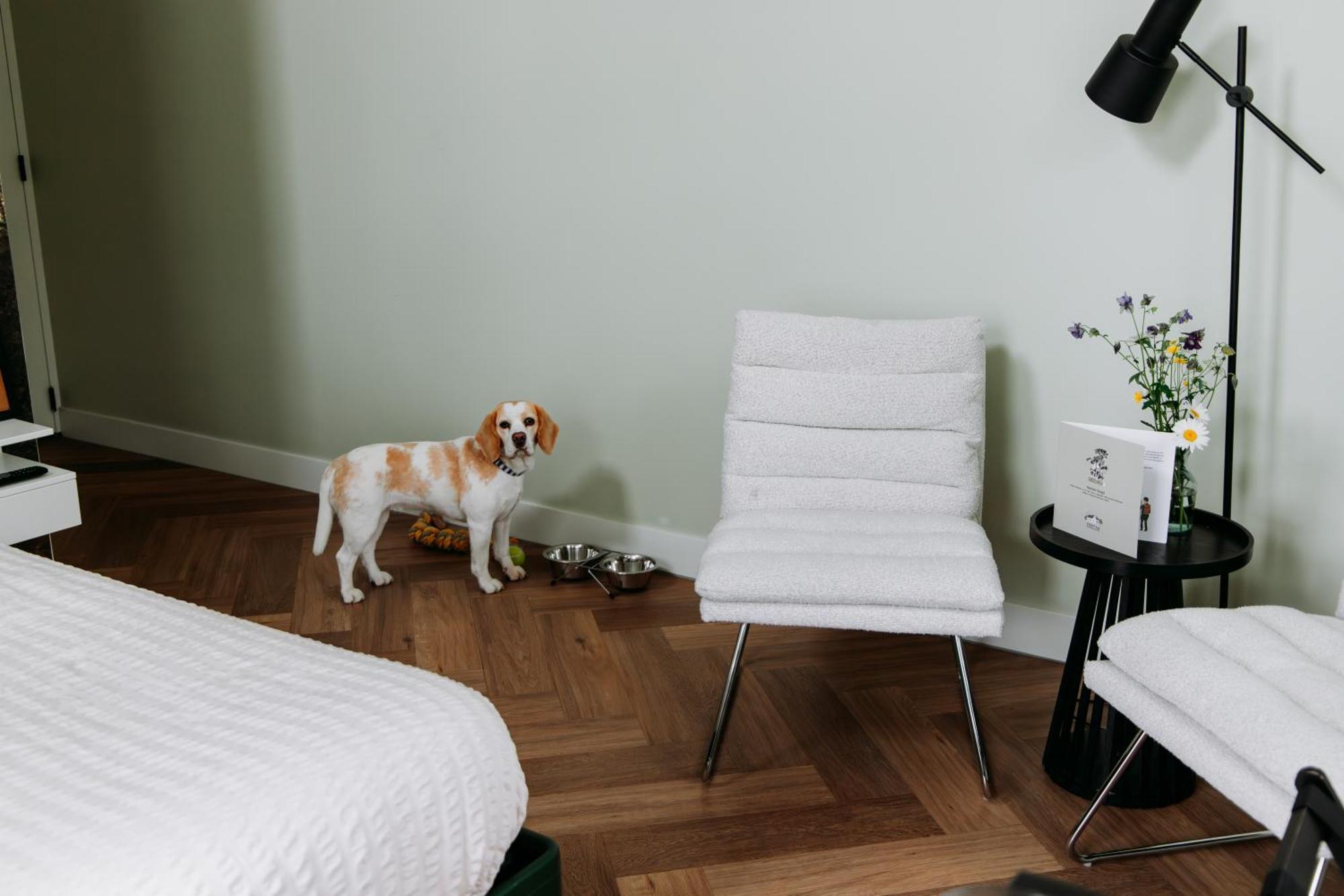 Boutique B&B Oud Aa Breukelen Eksteriør bilde
